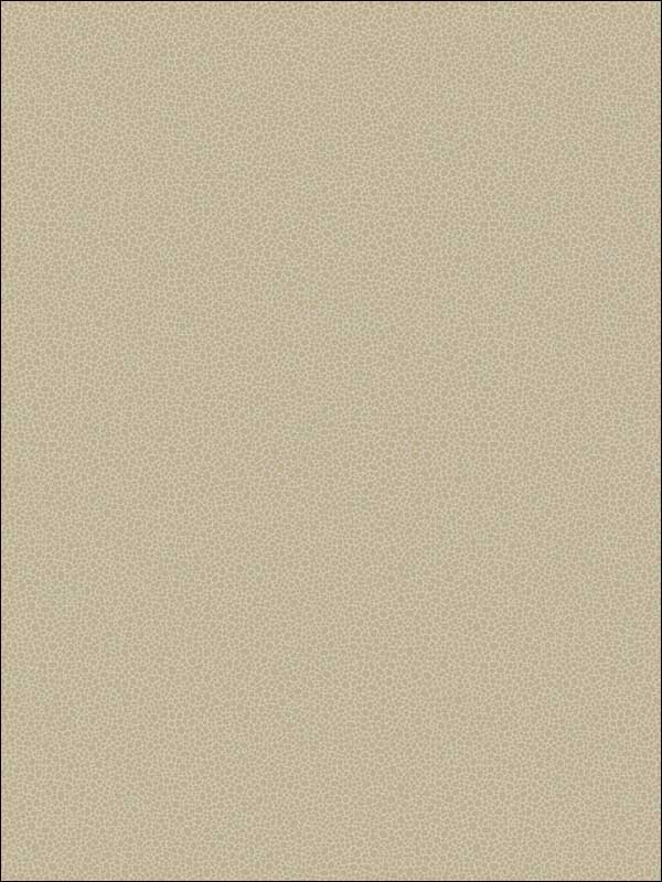 Goldstone Stone and Gilver Wallpaper 1079042 by Cole and Son Wallpaper for sale at Wallpapers To Go