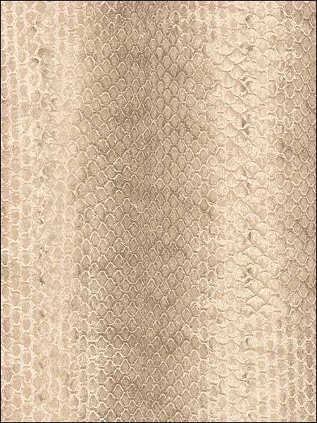 Snakeskin Wallpaper G67426 by Norwall Wallpaper for sale at Wallpapers To Go