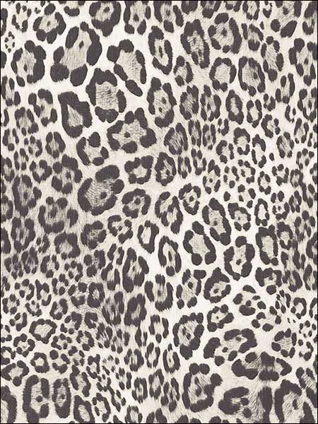 Leopard Print Wallpaper G67462 by Norwall Wallpaper for sale at Wallpapers To Go