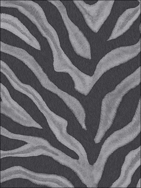 Zebra Print Wallpaper G67492 by Norwall Wallpaper for sale at Wallpapers To Go