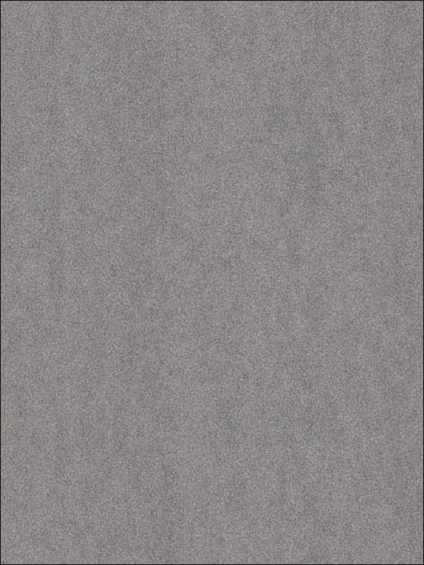 Matter Grey Texture Wallpaper 356194 by Kennenth James Wallpaper for sale at Wallpapers To Go
