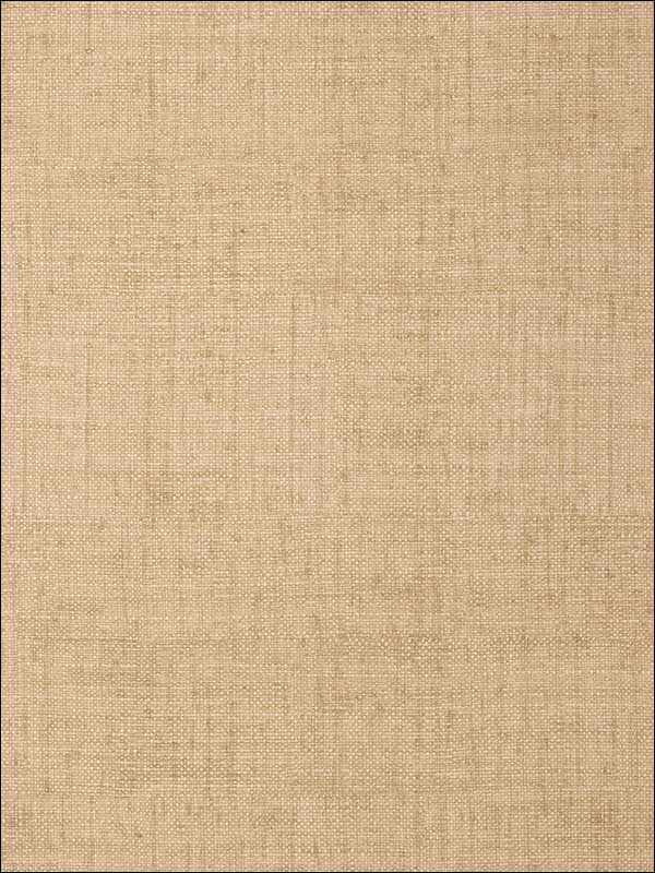 Bankun Raffia Antique Wallpaper T6817 by Thibaut Wallpaper for sale at Wallpapers To Go