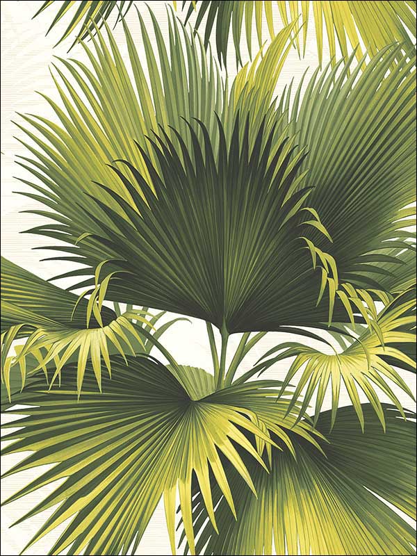 Endless Summer Green Palm Wallpaper PS40114 by Kenneth James Wallpaper for sale at Wallpapers To Go