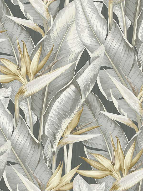 Arcadia Grey Banana Leaf Wallpaper PS40200 by Kenneth James Wallpaper for sale at Wallpapers To Go