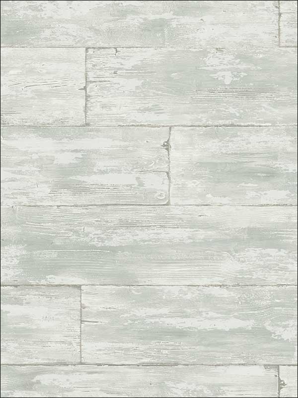 Shipwreck Light Grey Wood Wallpaper PS41004 by Kenneth James Wallpaper for sale at Wallpapers To Go