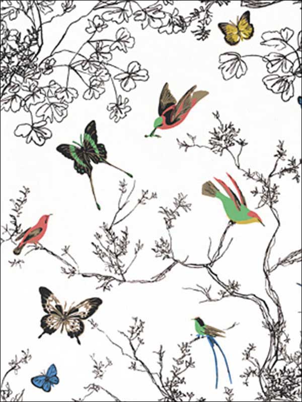 Birds And Butterflies Multi On White Fabric 174760 by Schumacher Fabrics for sale at Wallpapers To Go