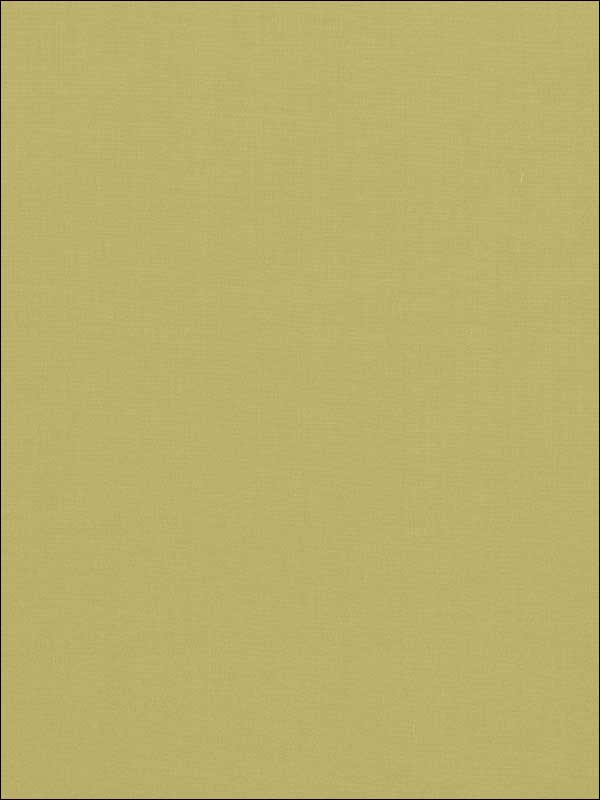 Avery Cotton Plain Sage Fabric 62949 by Schumacher Fabrics for sale at Wallpapers To Go
