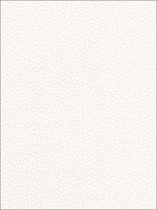 Rossini Sheer Ivory Fabric 67660 by Schumacher Fabrics for sale at Wallpapers To Go