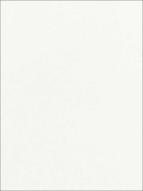 Nicola Sheer Ivory Fabric 67770 by Schumacher Fabrics for sale at Wallpapers To Go
