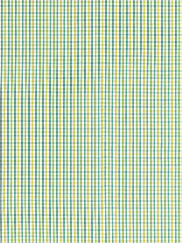 Bahama Check Lagoon Fabric 68050 by Schumacher Fabrics for sale at Wallpapers To Go