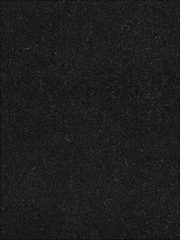 San Carlo Mohair Velvet Noir Fabric 64870 by Schumacher Fabrics for sale at Wallpapers To Go