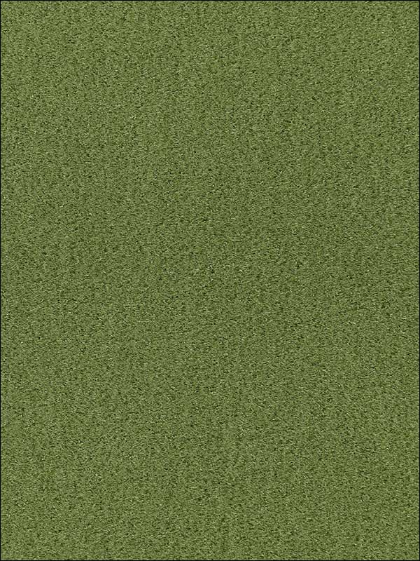 Palermo Mohair Velvet Grass Fabric 64937 by Schumacher Fabrics for sale at Wallpapers To Go