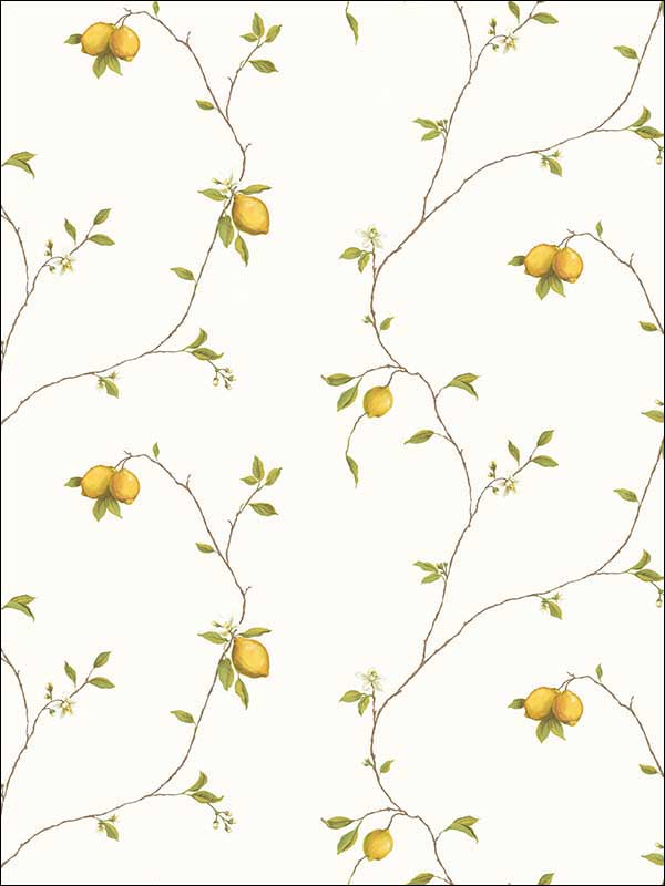 Lemons Wallpaper G12082 by Galerie Wallpaper for sale at Wallpapers To Go