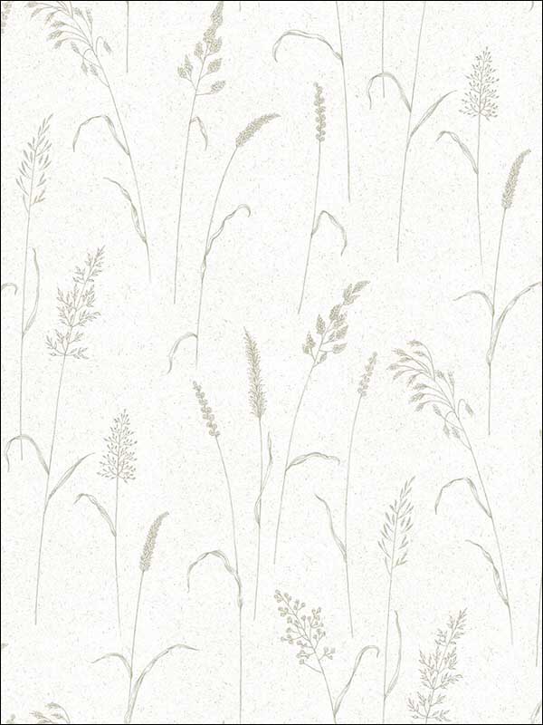 Botanicals Wallpaper G12255 by Galerie Wallpaper for sale at Wallpapers To Go