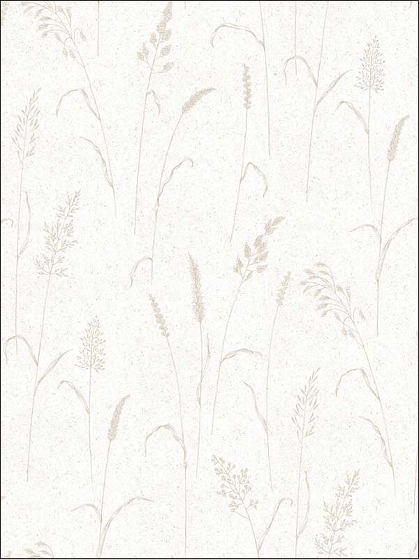 Botanicals Wallpaper G12256 by Galerie Wallpaper for sale at Wallpapers To Go