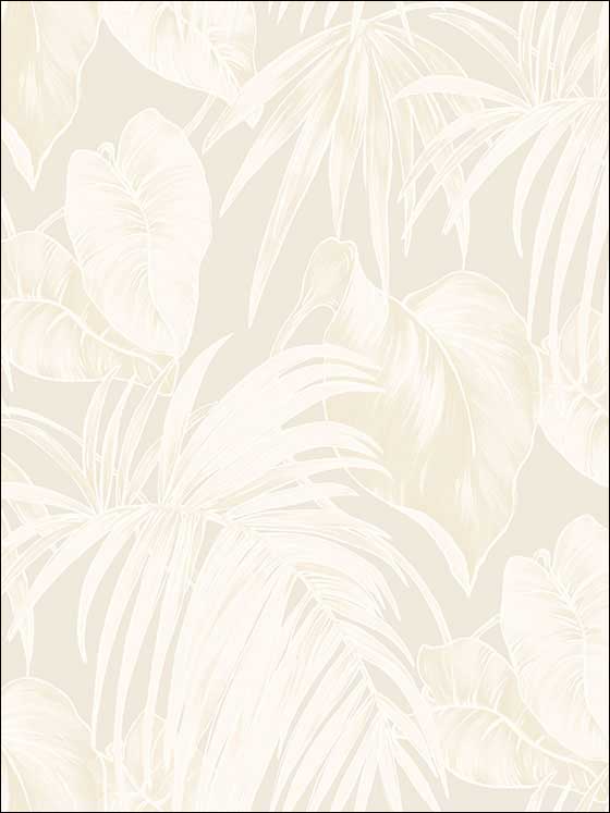 Dominica Wallpaper TA21605 by Seabrook Wallpaper for sale at Wallpapers To Go