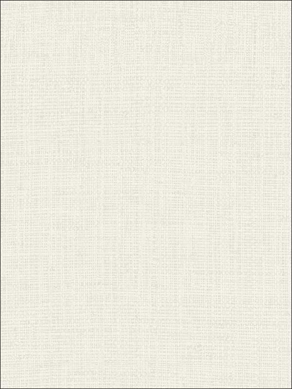 Metallic Grasscloth Look Textured Wallpaper OY34705 by Paper and Ink Wallpaper for sale at Wallpapers To Go