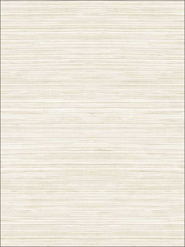 Metallic Grasscloth Look Textured Wallpaper OY35005 by Paper and Ink Wallpaper for sale at Wallpapers To Go