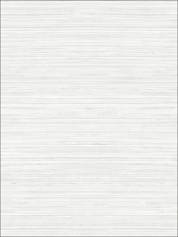 Metallic Grasscloth Look Textured Wallpaper OY35007 by Paper and Ink Wallpaper for sale at Wallpapers To Go