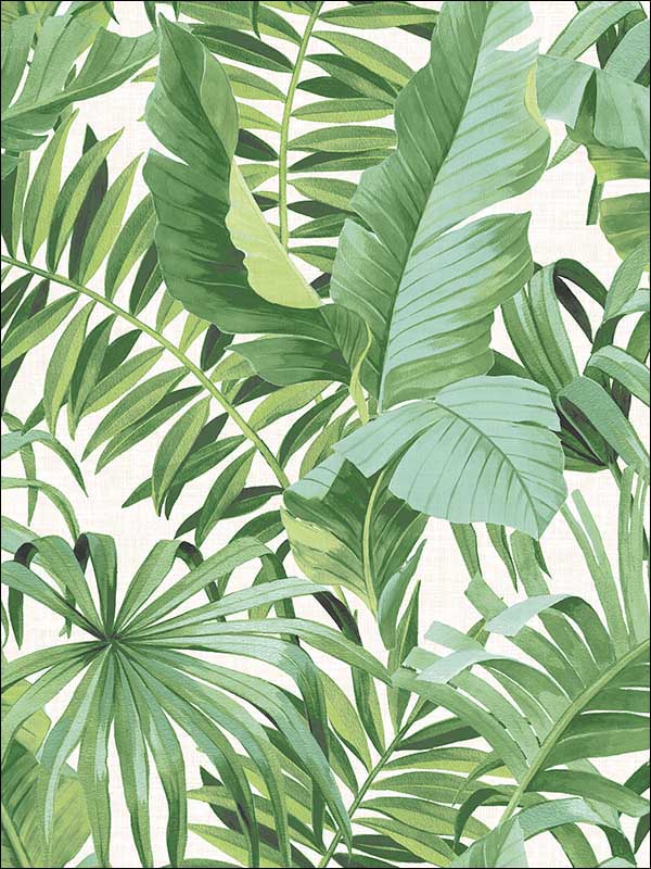 Alfresco Green Palm Leaf Wallpaper 274424136 by A Street Prints Wallpaper for sale at Wallpapers To Go