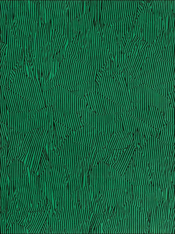 Avant Green Black Wallpaper GWP3500308 by Grundworks Wallpaper for sale at Wallpapers To Go