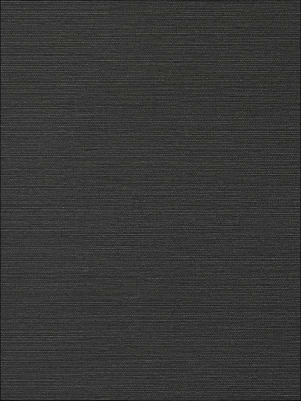 Taluk Sisal Black Wallpaper T75152 by Thibaut Wallpaper for sale at Wallpapers To Go