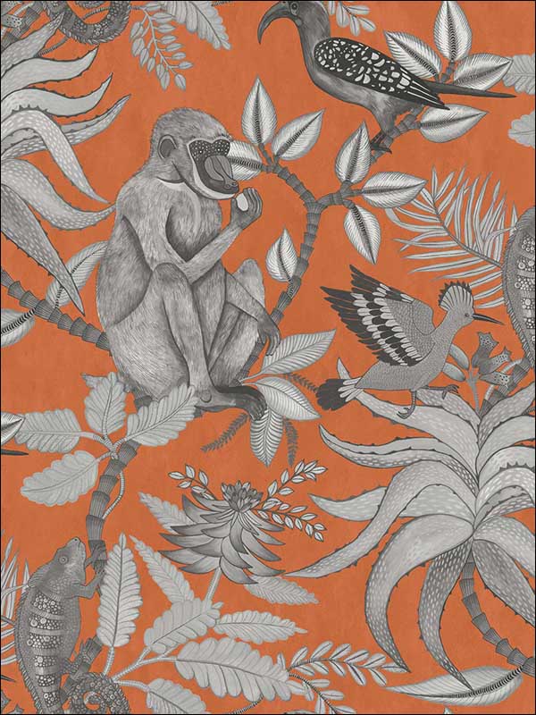 Savuti Orange Wallpaper 1091001 by Cole and Son Wallpaper for sale at Wallpapers To Go