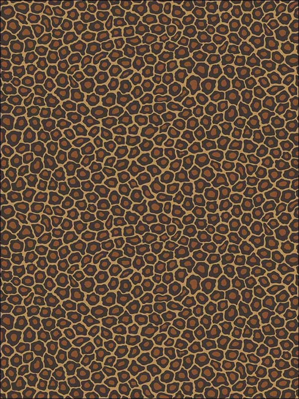 Senzo Spot True Leopard Wallpaper 1096028 by Cole and Son Wallpaper for sale at Wallpapers To Go