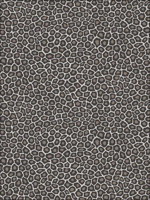 Senzo Spot Black And White Wallpaper 1096031 by Cole and Son Wallpaper for sale at Wallpapers To Go