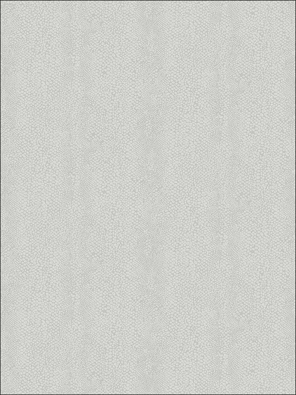 Skin Plain Wallpaper 1821905 by Studio 465 Wallpaper for sale at Wallpapers To Go