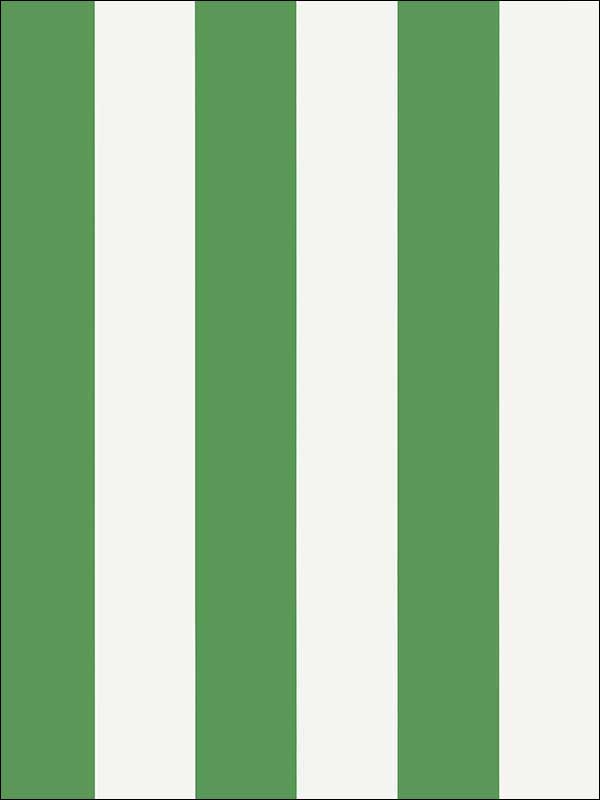 Summer Stripe Green Wallpaper T13131 by Thibaut Wallpaper for sale at Wallpapers To Go