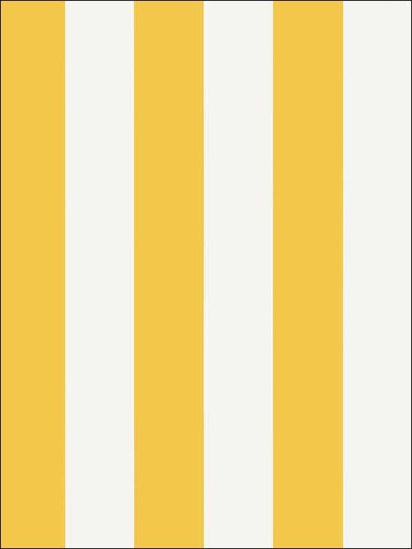 Summer Stripe Yellow Wallpaper T13132 by Thibaut Wallpaper for sale at Wallpapers To Go