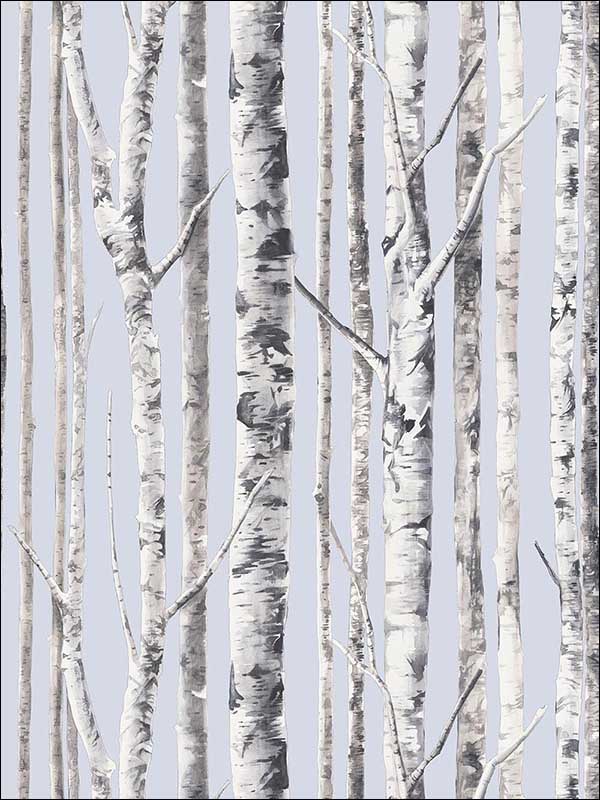 Birch Wallpaper WMAFJ020114 by Mayflower Wallpaper for sale at Wallpapers To Go