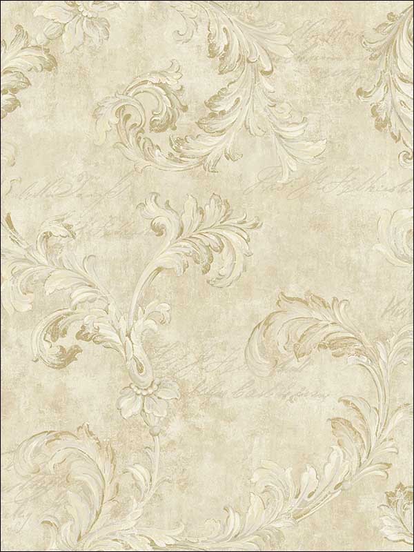 Acanthus Scroll Antique Beige Wallpaper HK90107 by Wallquest Wallpaper for sale at Wallpapers To Go