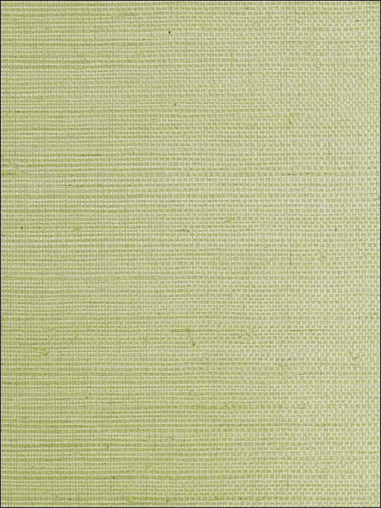 Sisal Leaf Wallpaper SC0018G1193 by Scalamandre Wallpaper for sale at Wallpapers To Go
