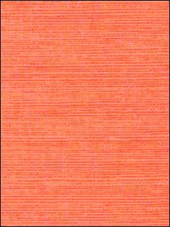 Shang Extra Fine Sisal Apricot Wallpaper T5017 by Thibaut Wallpaper for sale at Wallpapers To Go