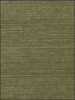 Shang Extra Fine Sisal Avocado Wallpaper T5027 by Thibaut Wallpaper for sale at Wallpapers To Go