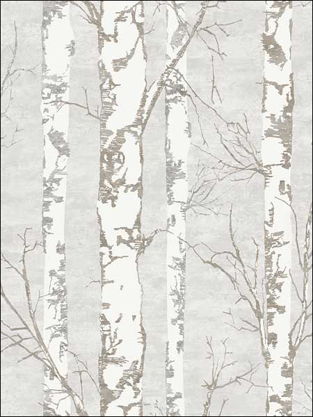 Alaska Birch Wallpaper TH50208 by Pelican Prints Wallpaper for sale at Wallpapers To Go