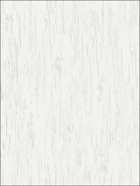 Alaska Birch Texture Wallpaper TH50400 by Pelican Prints Wallpaper for sale at Wallpapers To Go