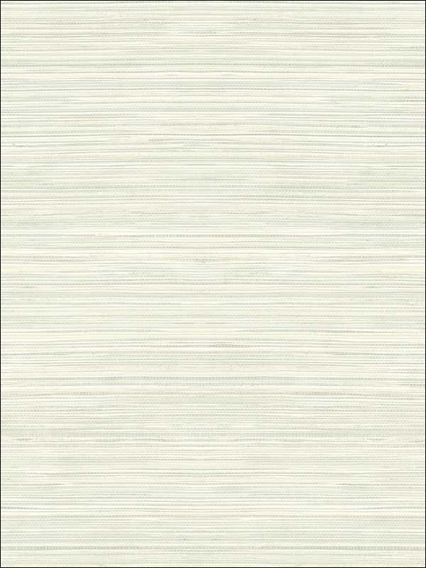 Grasscloth Look Textured Wallpaper RC10308 by Wallquest Wallpaper for sale at Wallpapers To Go