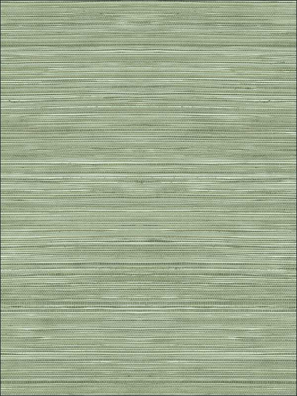 Grasscloth Look Textured Wallpaper RC10338 by Wallquest Wallpaper