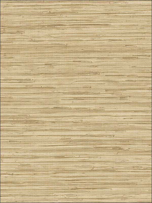 Grasscloth Wallpaper NT33704 by Patton Norwall Wallpaper for sale at Wallpapers To Go