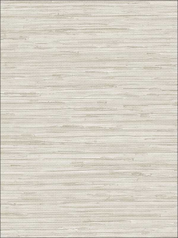 Grasscloth Wallpaper NT33708 by Patton Norwall Wallpaper for sale at Wallpapers To Go