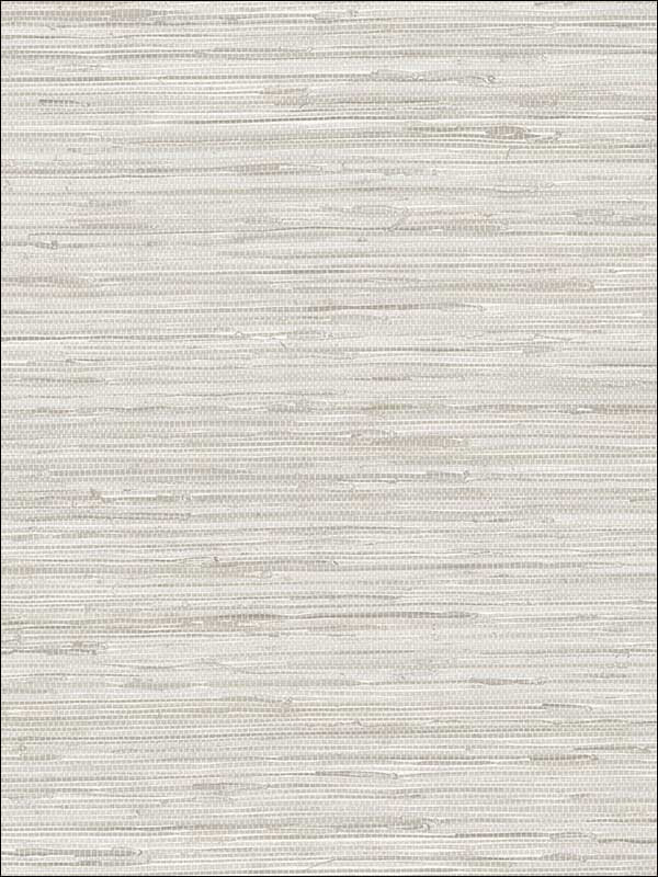 Grasscloth Wallpaper TX34800 by Patton Norwall Wallpaper for sale at Wallpapers To Go