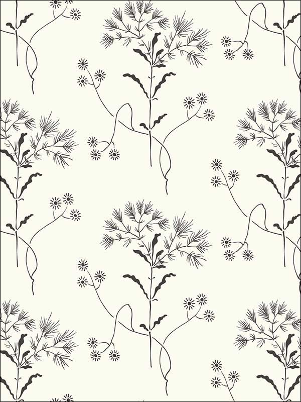 Wildflower Black on White Wallpaper ME1515 by York Wallpaper for sale at Wallpapers To Go