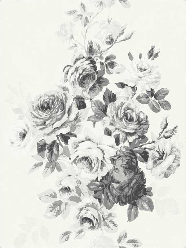 Tea Rose Black White on White Wallpaper ME1534 by York Wallpaper for sale at Wallpapers To Go