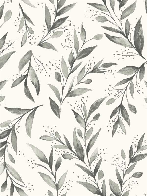 Olive Branch Charcoal Wallpaper ME1537 by York Wallpaper for sale at Wallpapers To Go