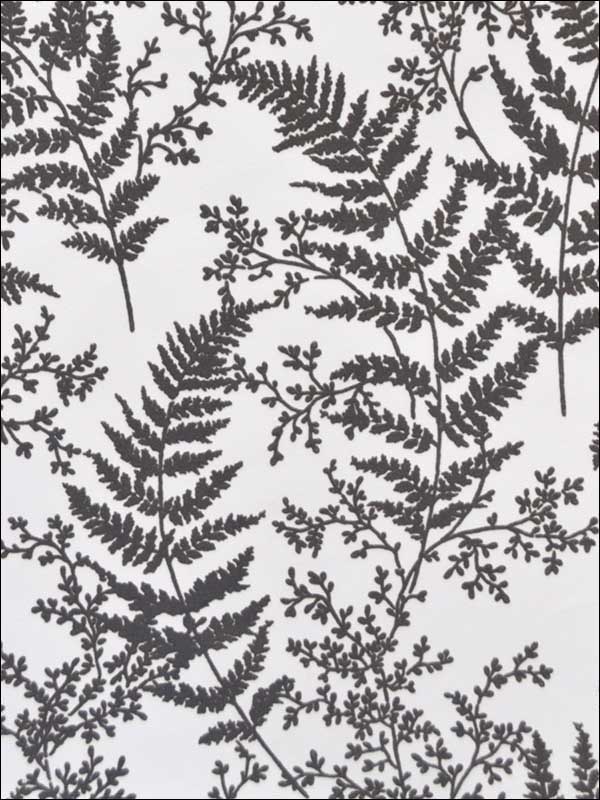 Forest Fern Grey Wallpaper ME1584 by York Wallpaper for sale at Wallpapers To Go