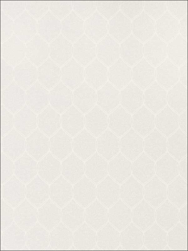 Leland Trellis Grey Wallpaper AT79145 by Anna French Wallpaper for sale at Wallpapers To Go
