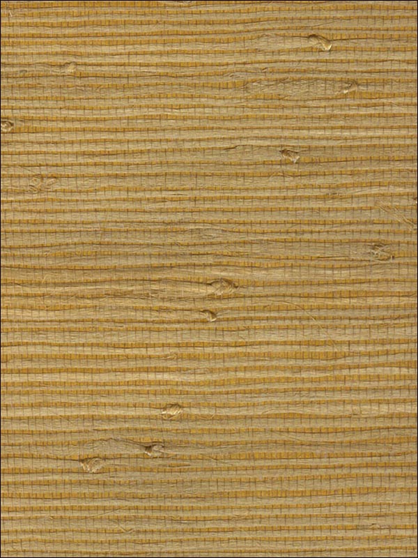 Grasscloth Wallpaper WS301 by Astek Wallpaper for sale at Wallpapers To Go